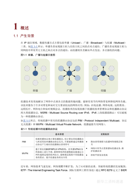 新华三：2024年MSR6技术白皮书